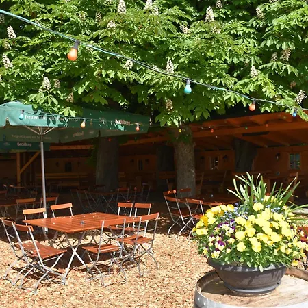 招待所 Und Halli-galli