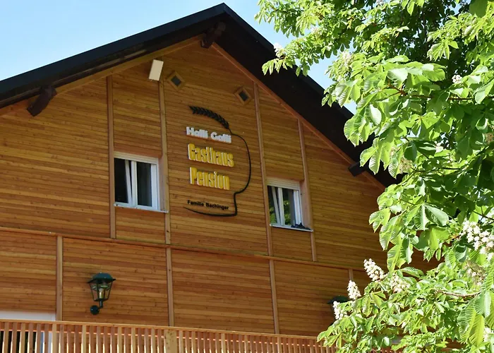 Und Halli-galli 3* Passau